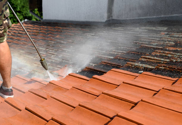 Best House Pressure Washing  in Santa Rosa, NM